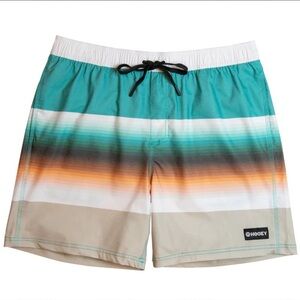 NEW Hooey Boys Big Wake Stretch Swim Trunks Youth Volley Shorts Ombre Stripe